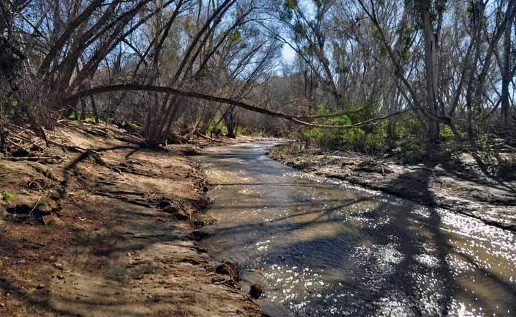 river scene